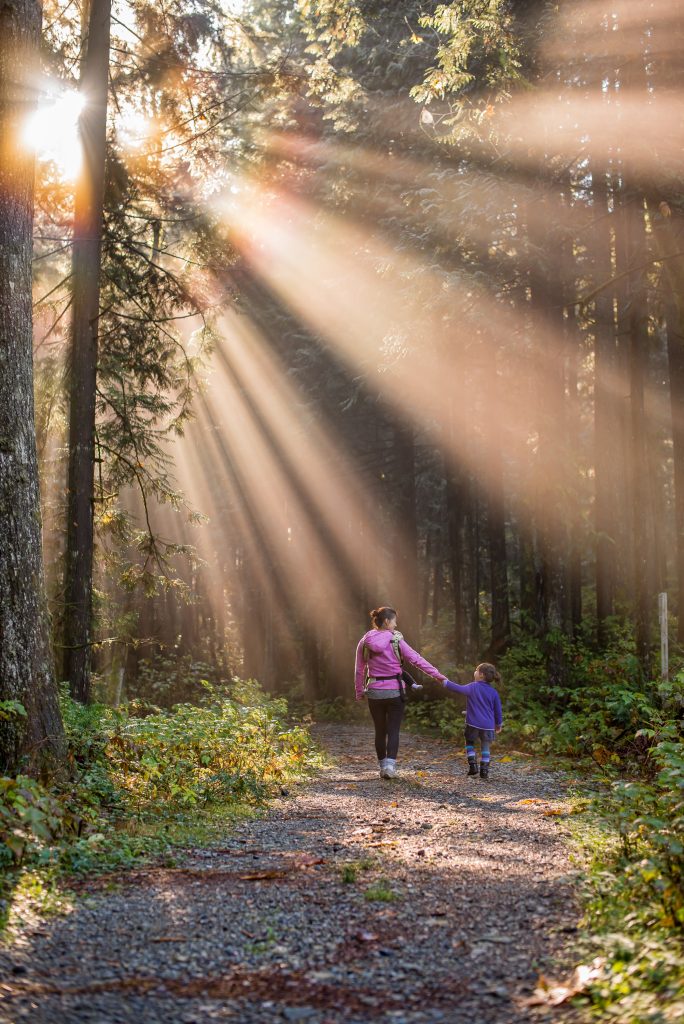 How To Start Camping As A Family