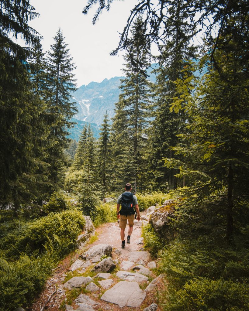 Kid Friendly Camping Activities